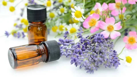 कन्नौज में सर्वश्रेष्ठ आवश्यक तेल निर्माता